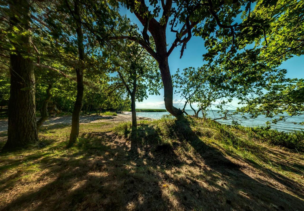 Traumhaff Kuestenchalets - Einzigartige Chalets An Der Ostsee. Ganz Aus Laerchenholz Mit Kamin Und Sauna Vogelsang-Warsin Eksteriør bilde